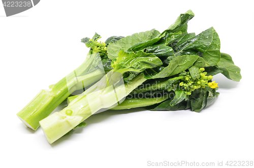 Image of Bunch of floral choy sum