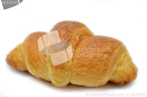 Image of Fresh baked croissant