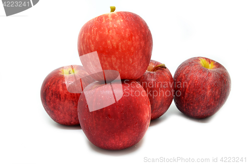 Image of Fresh red apples 