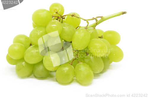 Image of Fresh green grapes