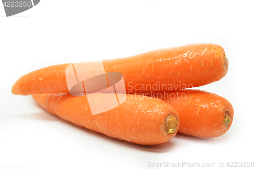 Image of Carrot isolated on white background