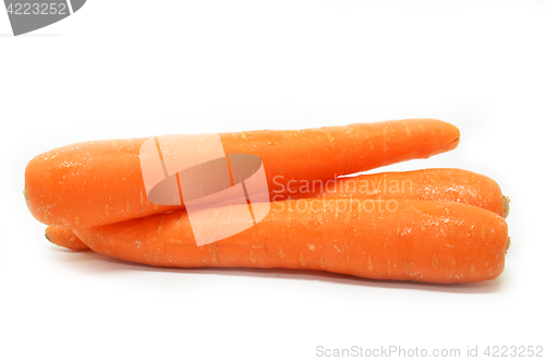 Image of Carrot isolated on white background