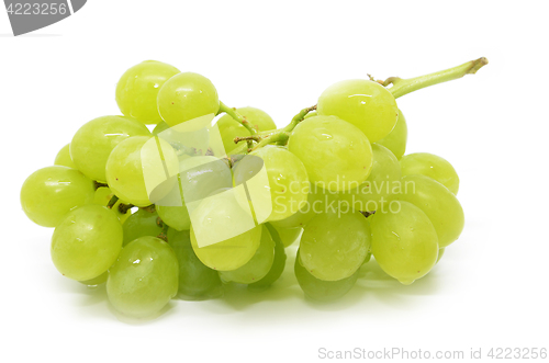 Image of  Fresh green grapes