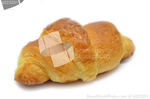 Image of Fresh baked croissant