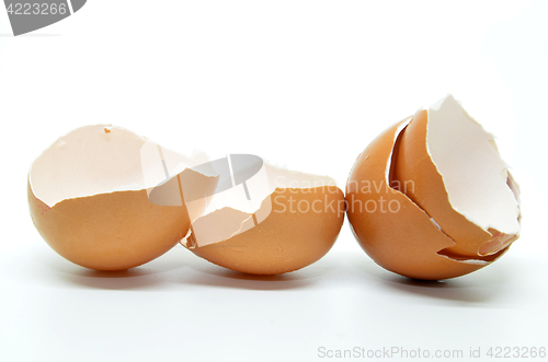 Image of Broken egg shell 