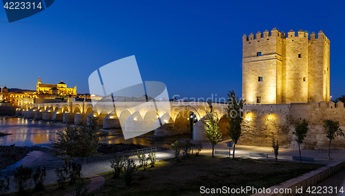 Image of old roman bridge and tower Calahora at night, Cordoba