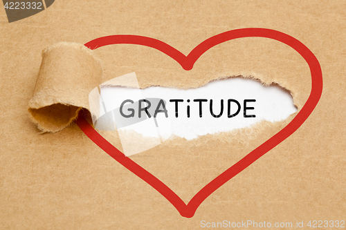 Image of Gratitude And Heart Torn Paper Concept