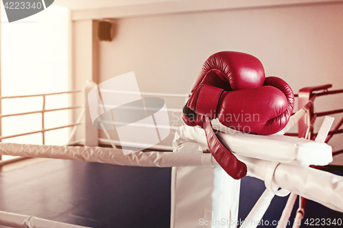 Image of A pair of red boxing gloves hangs off ring