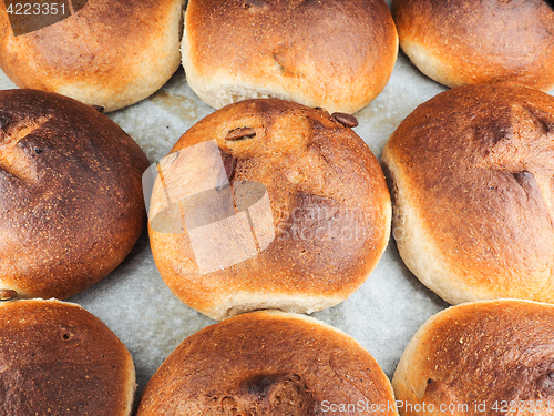 Image of Pumkin seed buns on baking paper sfter baking at close-up