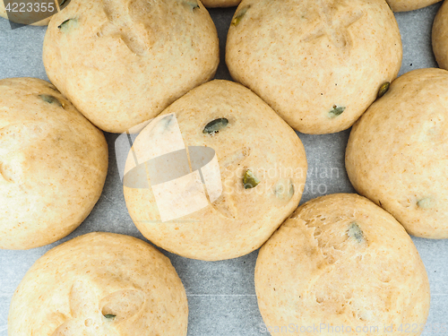 Image of Pumkin seed buns proofed on baking paper at close-up