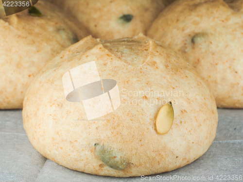 Image of Pumkin seed buns proofed on baking paper at close-up