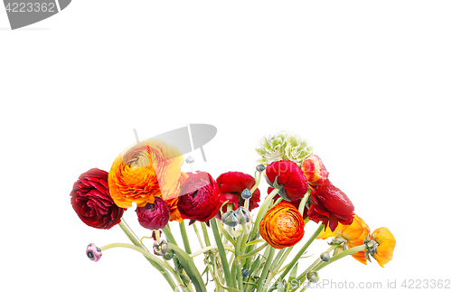 Image of Ranunkulyus bouquet of red flowers on a white background