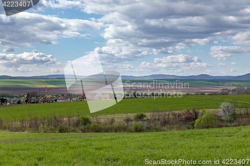 Image of Rural landscape with horizon and fields