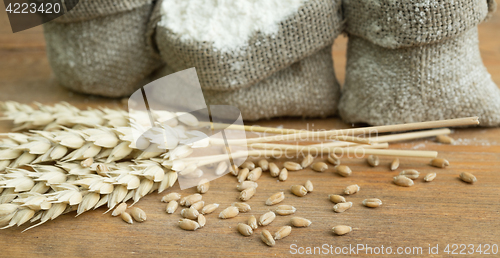 Image of flour and wheat
