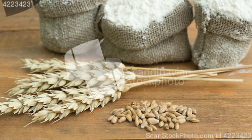Image of flour and wheat