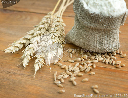 Image of flour and wheat