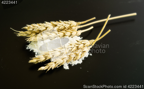 Image of wheat ears