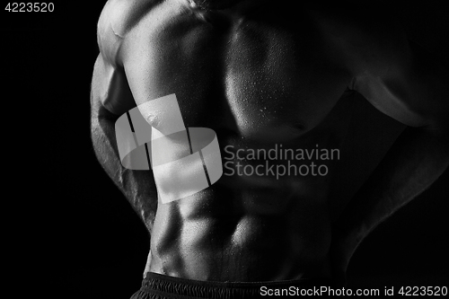 Image of The torso of attractive male body builder on black background.