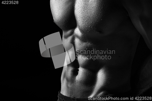 Image of The torso of attractive male body builder on black background.