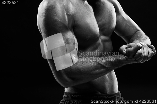 Image of The torso of attractive male body builder on black background.