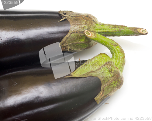Image of two eggplants