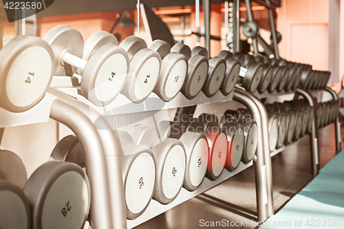 Image of Rows of dumbbells in the gym