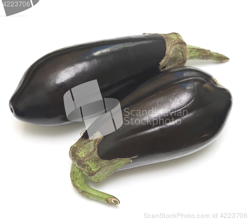 Image of two eggplants
