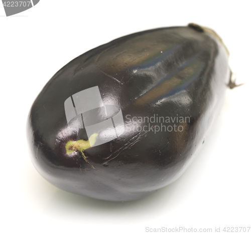 Image of eggplant