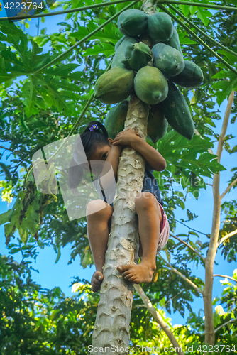 Image of Shy girl on tree