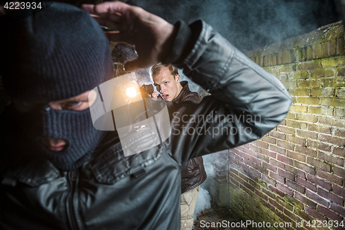 Image of Agent arrests burglar 