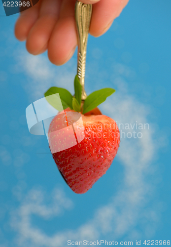 Image of A heart shaped strawberry in spoon