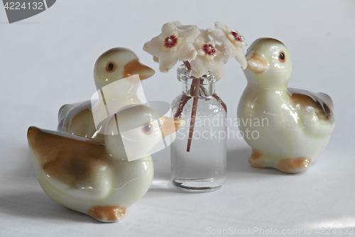 Image of  Ducklings and Hoya flowers