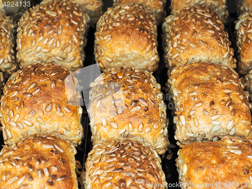 Image of Closeup of freshly made sunflower seed buns, side by side, on a 