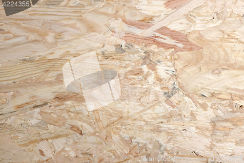 Image of Smooth pale background of OSB - oriented strand board