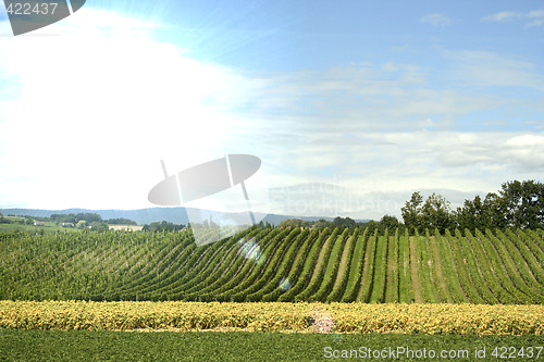 Image of Country landscape
