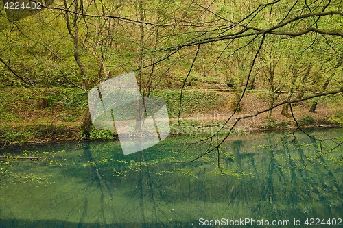 Image of Small lake with trees