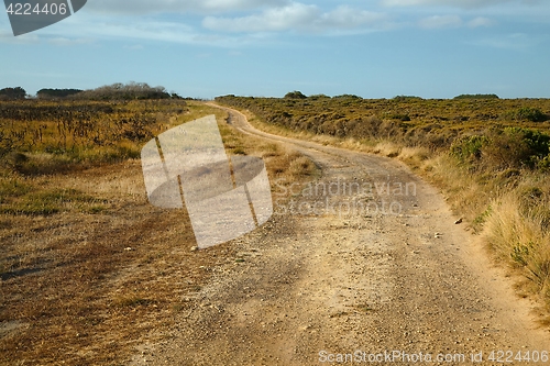 Image of Gravel road perspective