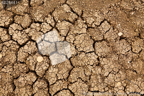 Image of Dry Soil Texture