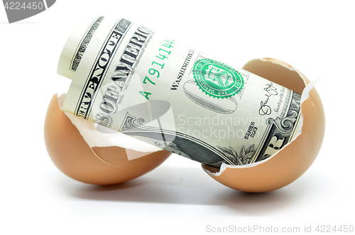 Image of US dollar on cracked egg