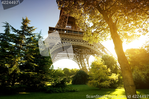 Image of Park near Eiffel Tower