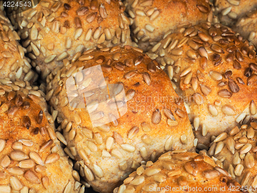 Image of Closeup of freshly made sunflower seed buns, side by side, on a 
