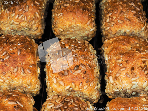 Image of Closeup of freshly made sunflower seed buns, side by side, on a 