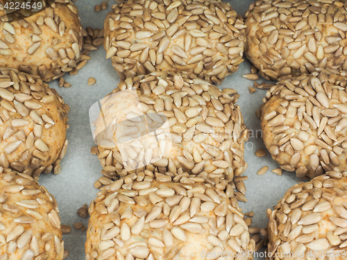 Image of Closeup of freshly made sunflower seed buns on a waxed paper tra