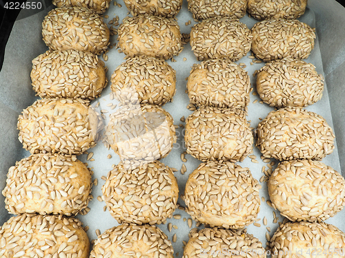 Image of Closeup of freshly made sunflower seed buns on a waxed paper tra