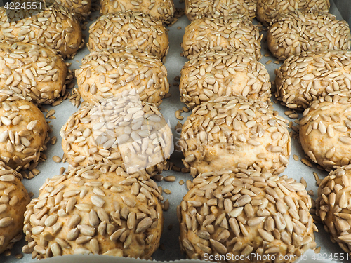 Image of Closeup of freshly made sunflower seed buns on a waxed paper tra