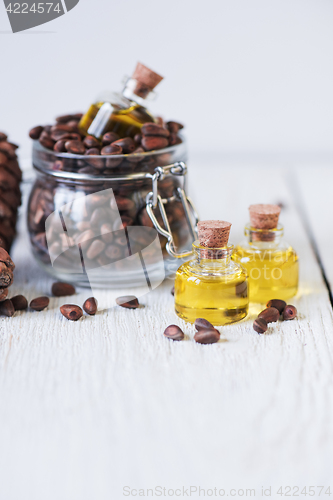 Image of Oil of cedar nuts