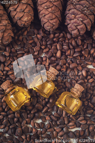 Image of Oil of cedar nuts