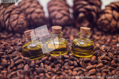 Image of Oil of cedar nuts