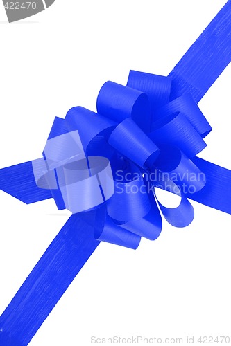 Image of Blue Ribbon