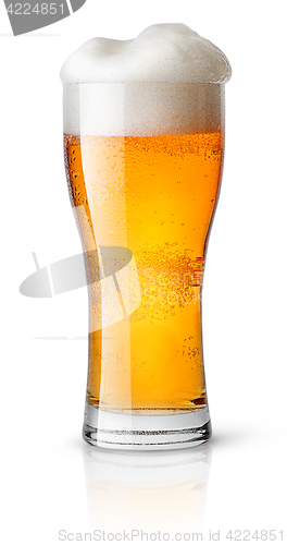 Image of Light beer in sweaty glass